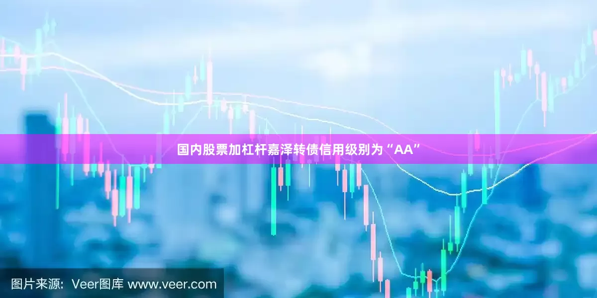 国内股票加杠杆嘉泽转债信用级别为“AA”