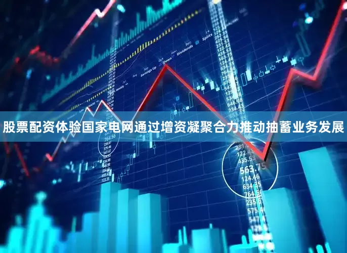 股票配资体验国家电网通过增资凝聚合力推动抽蓄业务发展