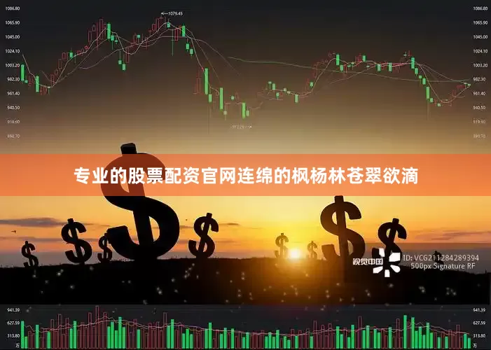 专业的股票配资官网连绵的枫杨林苍翠欲滴