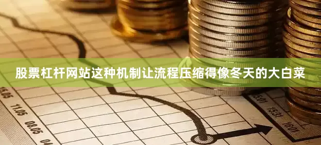 股票杠杆网站这种机制让流程压缩得像冬天的大白菜